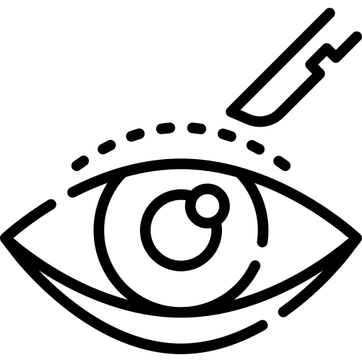 خانه 5 eyelid